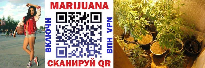 ОМГ ОМГ   Суворов  Бошки марихуана LSD WEED 